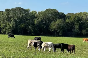 764 County Rd 3422, Bynum, TX 76631 - Photo 1