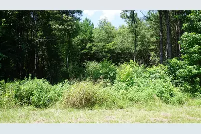 Tbd Hwy 80, Hawkins, TX 75765 - Photo 6