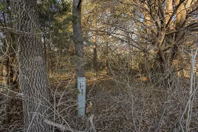 Tbd County Road 4618, Wolfe City, TX 75496 - Photo 40