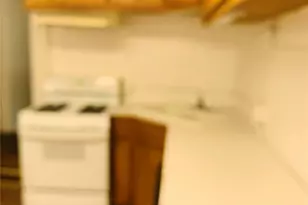 1010 A E Reno Rd, Reno, TX 76020 - Photo 16