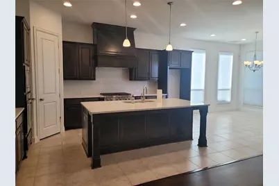 8553 Gerbera Daisy Road, Frisco, TX 75035 - Photo 6