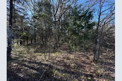 Lots 1B&2B Pronghorn Drive, Gordonville, TX 76245 - Photo 4