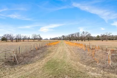 000 County Road 2918, Mineola, TX 75410 - Photo 10