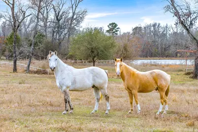 000 County Road 2918, Mineola, TX 75410 - Photo 24