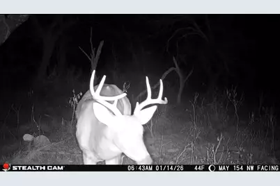 14725 Highway 183 N, Haltom City, TX 76857 - Photo 36