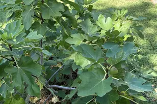 5620 Landsdown Dr, Waco, TX 76708 - Photo 34