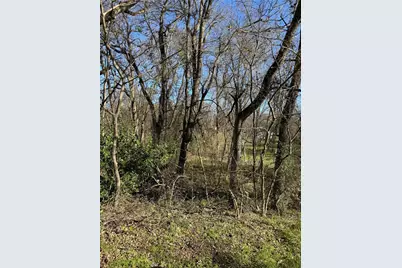 0 Maple, Gun Barrel City, TX 75156 - Photo 2