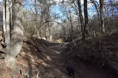 Tbd County Road 146, Lipan, TX 76462 - Photo 12