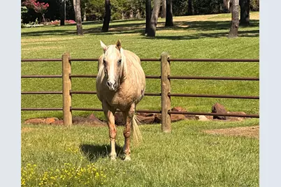 7421 Dawn Avenue, Pilot Point, TX 76258 - Photo 2