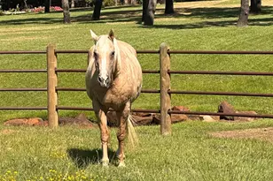 7421 Dawn Ave, Pilot Point, TX 76258 - Photo 2