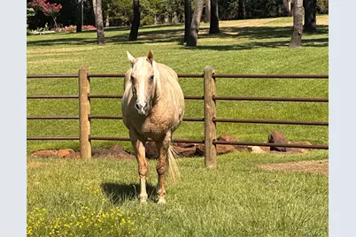 7421 Dawn Avenue, Pilot Point, TX 76258 - Photo 2