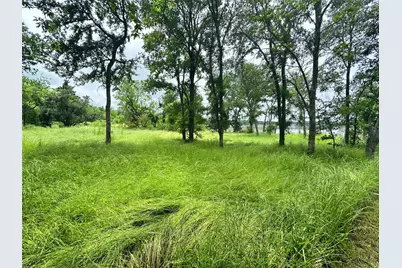 Lot 16 Opal Lane, Corsicana, TX 75109 - Photo 12