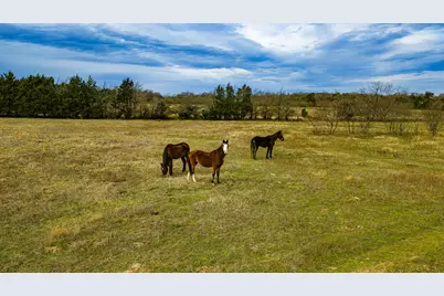 491 Lcr 437 #C, Mexia, TX 76667 - Photo 30