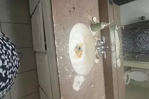 416 Lisa Ln, DeSoto, TX 75115 - Photo 14