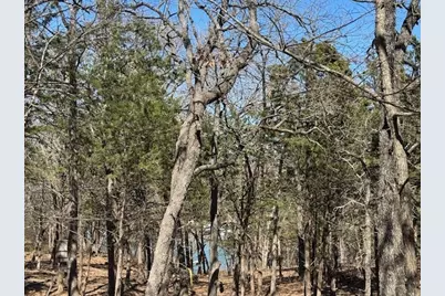 281 Westminister Drive, Pottsboro, TX 75076 - Photo 14