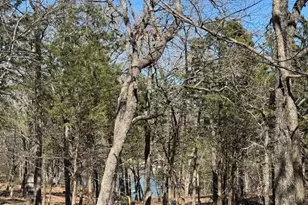 281 Westminister Dr, Pottsboro, TX 75076 - Photo 14