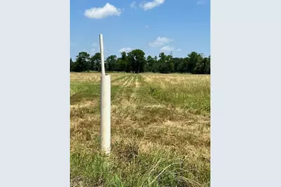 300 County Road 1118, Brashear, TX 75420 - Photo 8