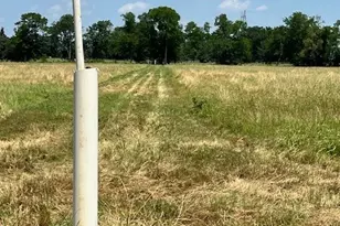 300 Co Rd 1118, Brashear, TX 75420 - Photo 8