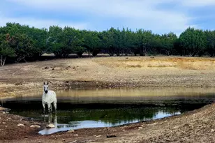 Tract 2 County Road 208, Lampasas, TX 76550 - Photo 4