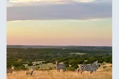 Tract 2 County Road 208, Lampasas, TX 76550 - Photo 2