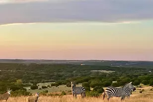 Tract 2 County Road 208, Lampasas, TX 76550 - Photo 2