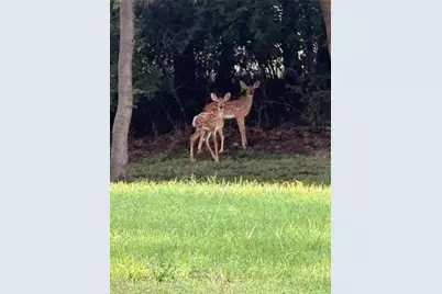 144 Howard Newby Lane, Springtown, TX 76082 - Photo 40