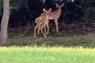 144 Howard Newby Ln, Springtown, TX 76082 - Photo 40