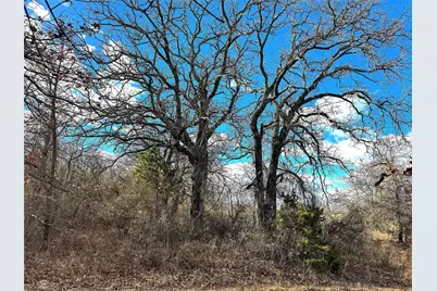 17101B Fm-920, Poolville, TX 76487 - Photo 8