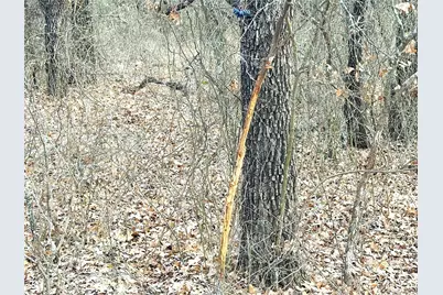 17101B Fm-920, Poolville, TX 76487 - Photo 32