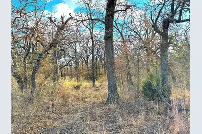 17101B Fm-920, Poolville, TX 76487 - Photo 34