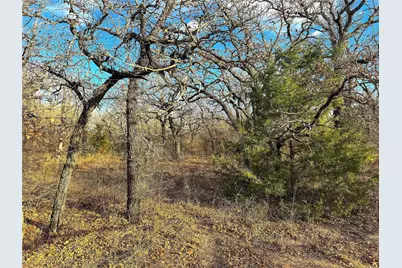 17101B Fm-920, Poolville, TX 76487 - Photo 10