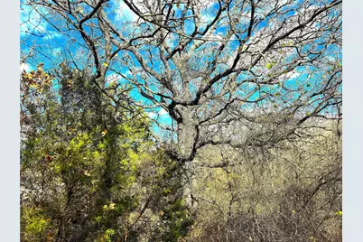 Tbd Turpin Lake Road, Poolville, TX 76487 - Photo 4