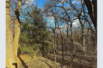 Tbd Turpin Lake Road, Poolville, TX 76487 - Photo 8