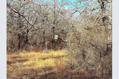 Tbd Turpin Lake Road, Poolville, TX 76487 - Photo 28