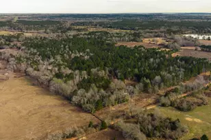 3662 Acr 359, Palestine, TX 75803 - Photo 28