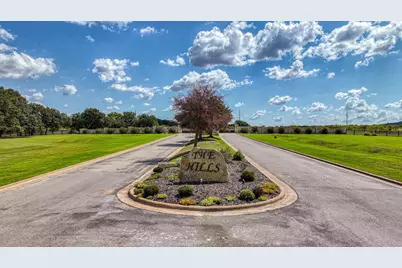 1428 Pk Hills Boulevard, Graford, TX 76449 - Photo 2