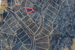 185 Sabine, Bullard, TX 75757 - Photo 6