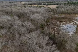 185 Sabine, Bullard, TX 75757 - Photo 32