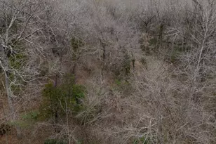 185 Sabine, Bullard, TX 75757 - Photo 20