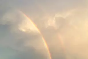 3214 Blue Haven Way, Wylie, TX 75098 - Photo 6