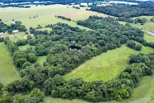 1517 County Rd Southwest 3170, Winnsboro, TX 75494 - Photo 36