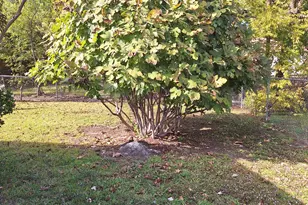 326 E Ferndale Ln, Grand Prairie, TX 75052 - Photo 26