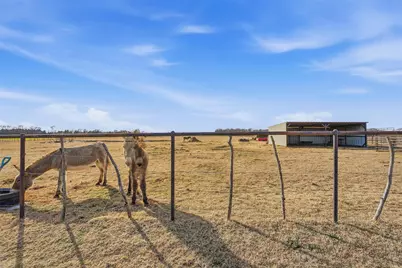 10917 County Road 290, Anna, TX 75409 - Photo 30