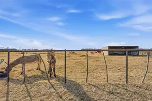 10917 Co Rd 290, Anna, TX 75409 - Photo 30