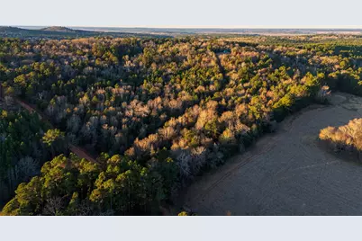 0 W County Road 3310, Jacksonville, TX 75766 - Photo 8