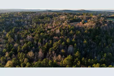 0 W County Road 3310, Jacksonville, TX 75766 - Photo 10