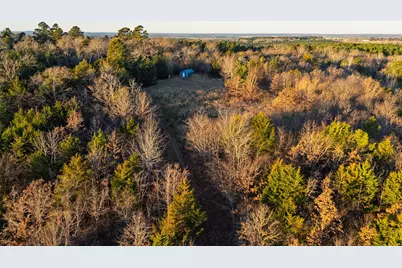 0 W County Road 3310, Jacksonville, TX 75766 - Photo 20