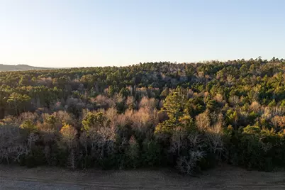 0 W County Road 3310, Jacksonville, TX 75766 - Photo 4