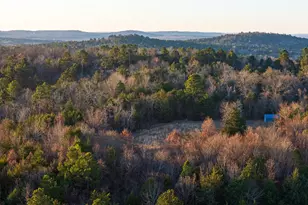 0 W County Road 3310, Jacksonville, TX 75766 - Photo 1