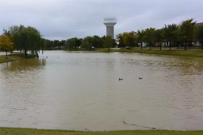 9209 Masse Court, Providence Village, TX 76227 - Photo 28